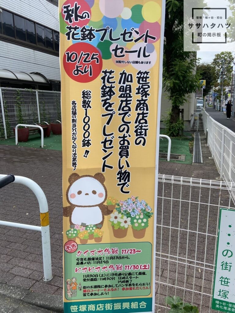 花プレゼント-花鉢-笹塚商店街