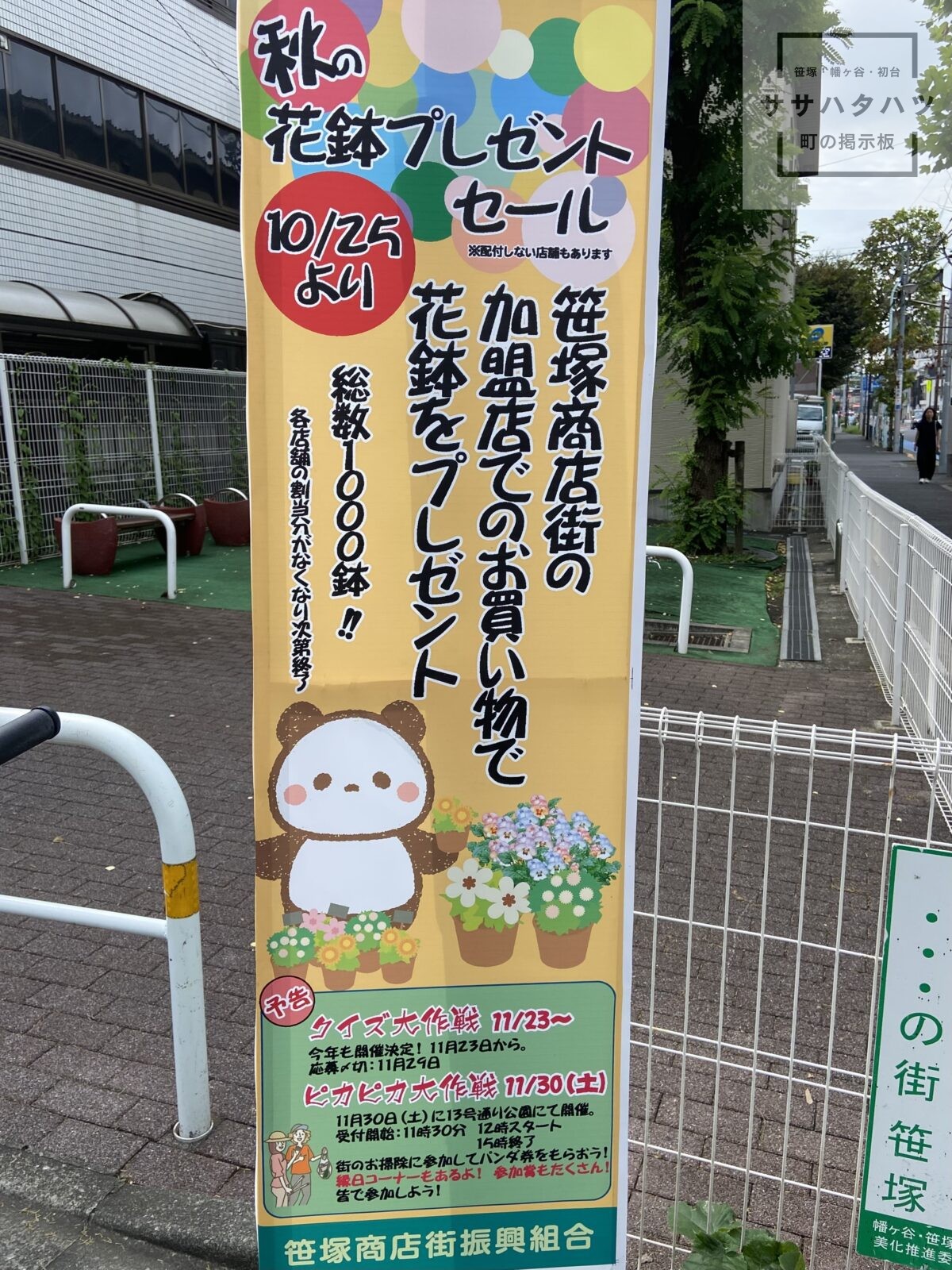 花プレゼント-花鉢-笹塚商店街