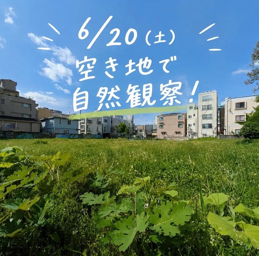 空き地で自然観察! イベント 渋谷区 笹塚 幡ヶ谷 初台 本町